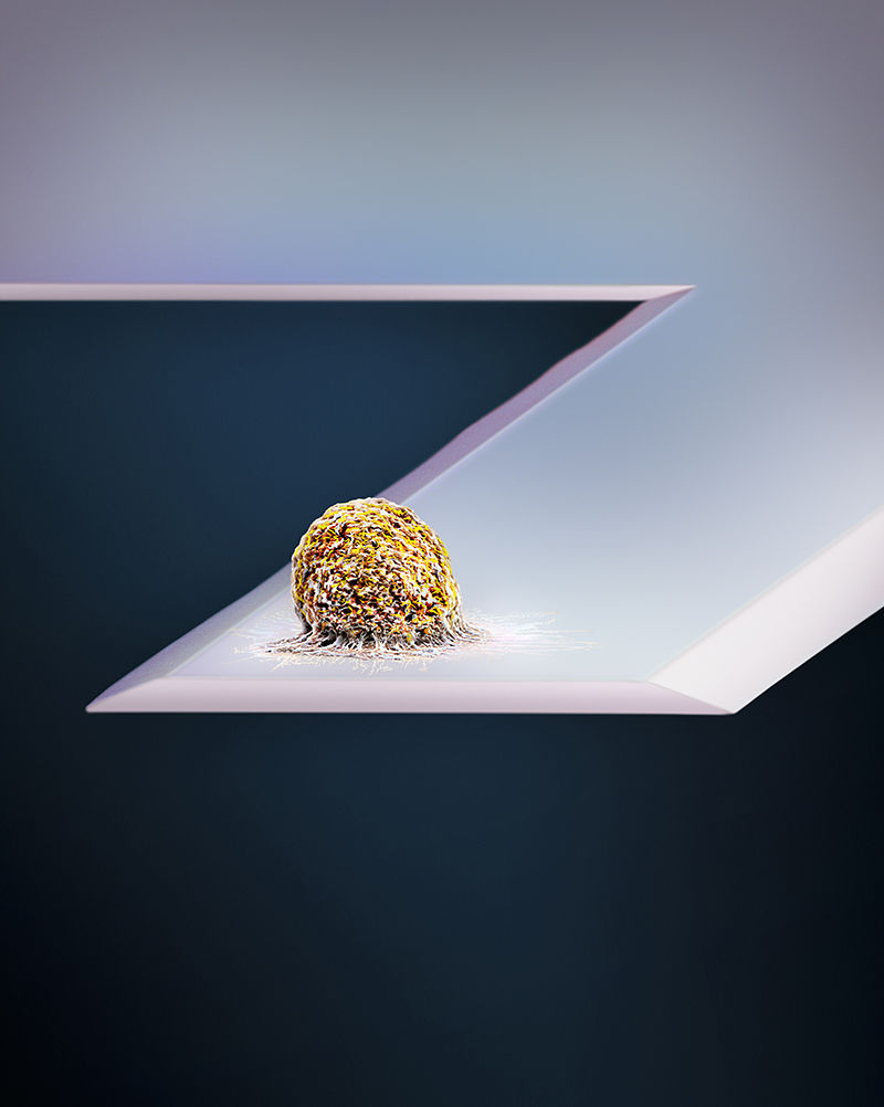 Imagen: Martin Oeggerli/micronaut.ch/ETH Zurich/University of Basel